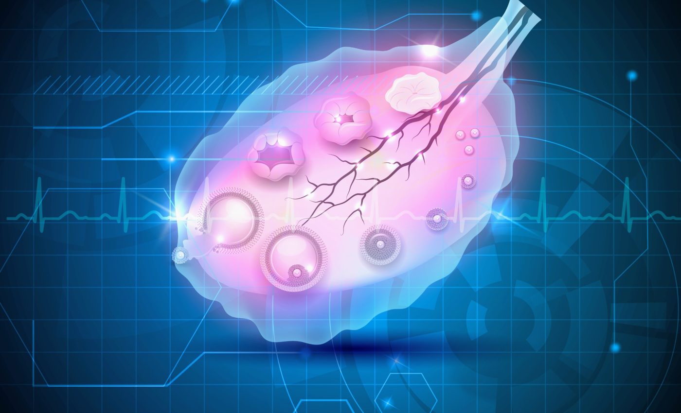 Why ovaries age and fertility drops with time