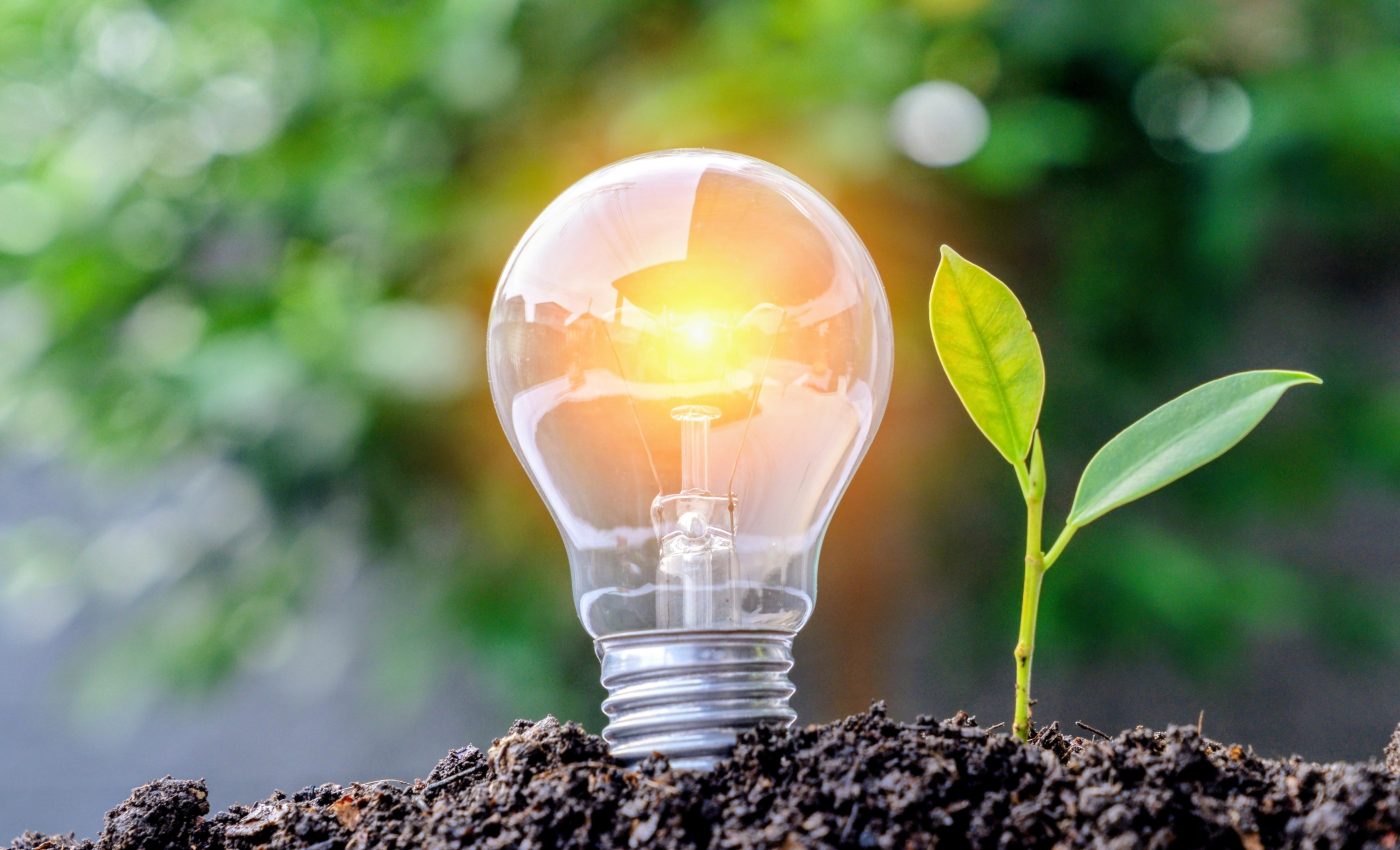 'Soil batteries' use sunlight to fight pollution in the dark