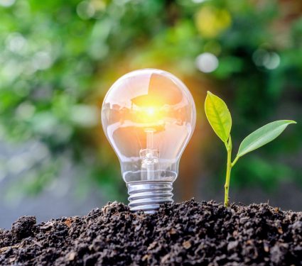 Light-energy-soil.jpg