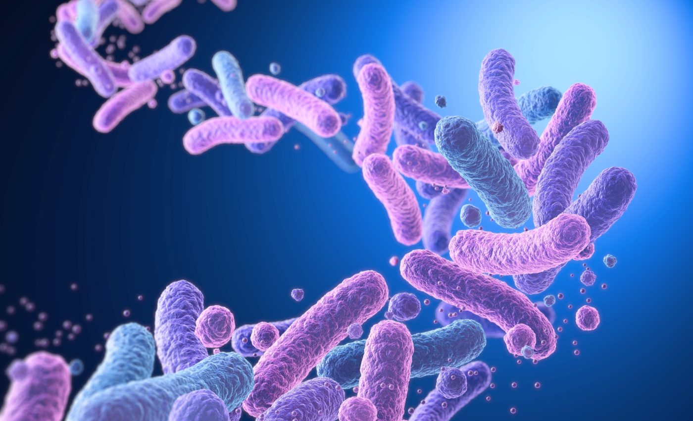 How gut bacteria learn and evolve - and shape your future health