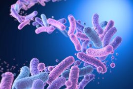 2025/10/Gut-bacteria-.jpg