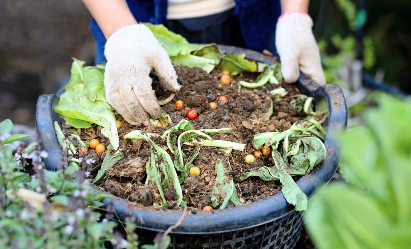 Biochar makes composting more climate friendly