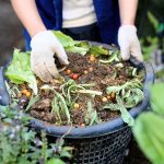 2025/10/Biochar-composting.jpg