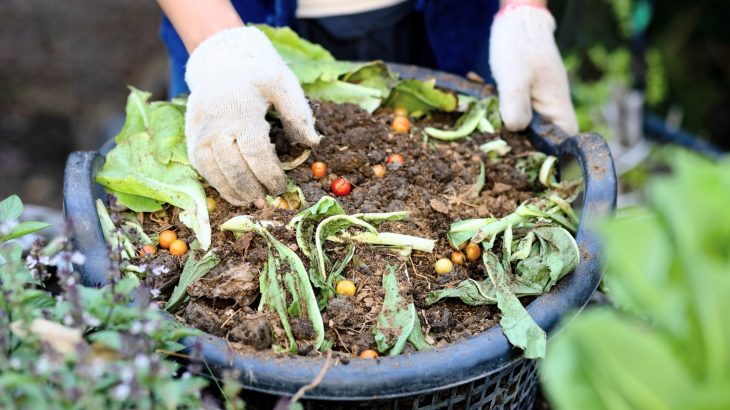 Biochar makes composting more climate friendly