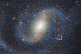 2025/10/Red-supergiants.jpg