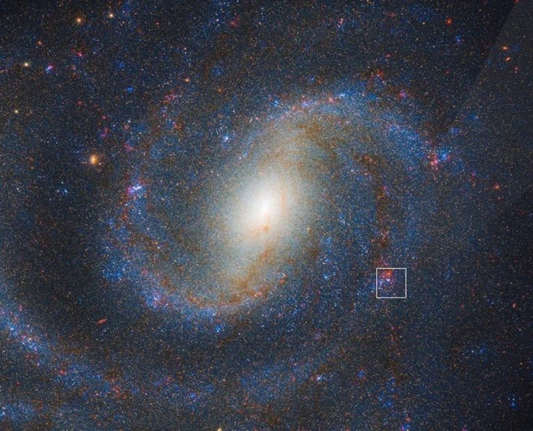 2025/10/Red-supergiants.jpg