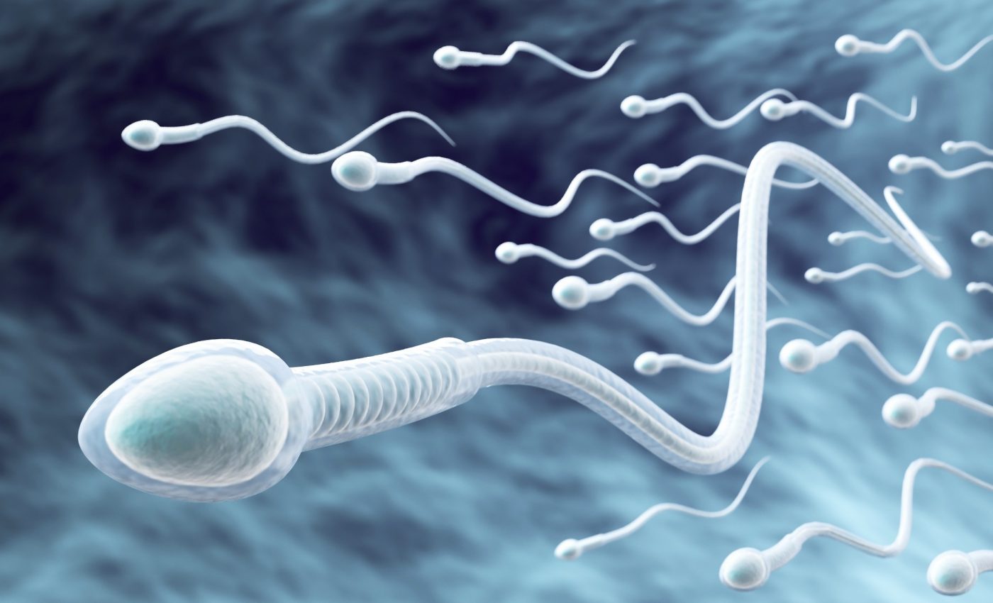 Male fertility breakthrough: Scientists identify the trigger that powers sperm