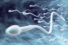 2025/10/Male-fertility.jpg