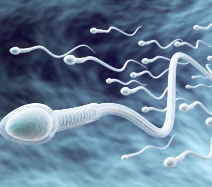 2025/10/Male-fertility.jpg
