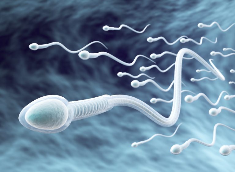 2025/10/Male-fertility.jpg