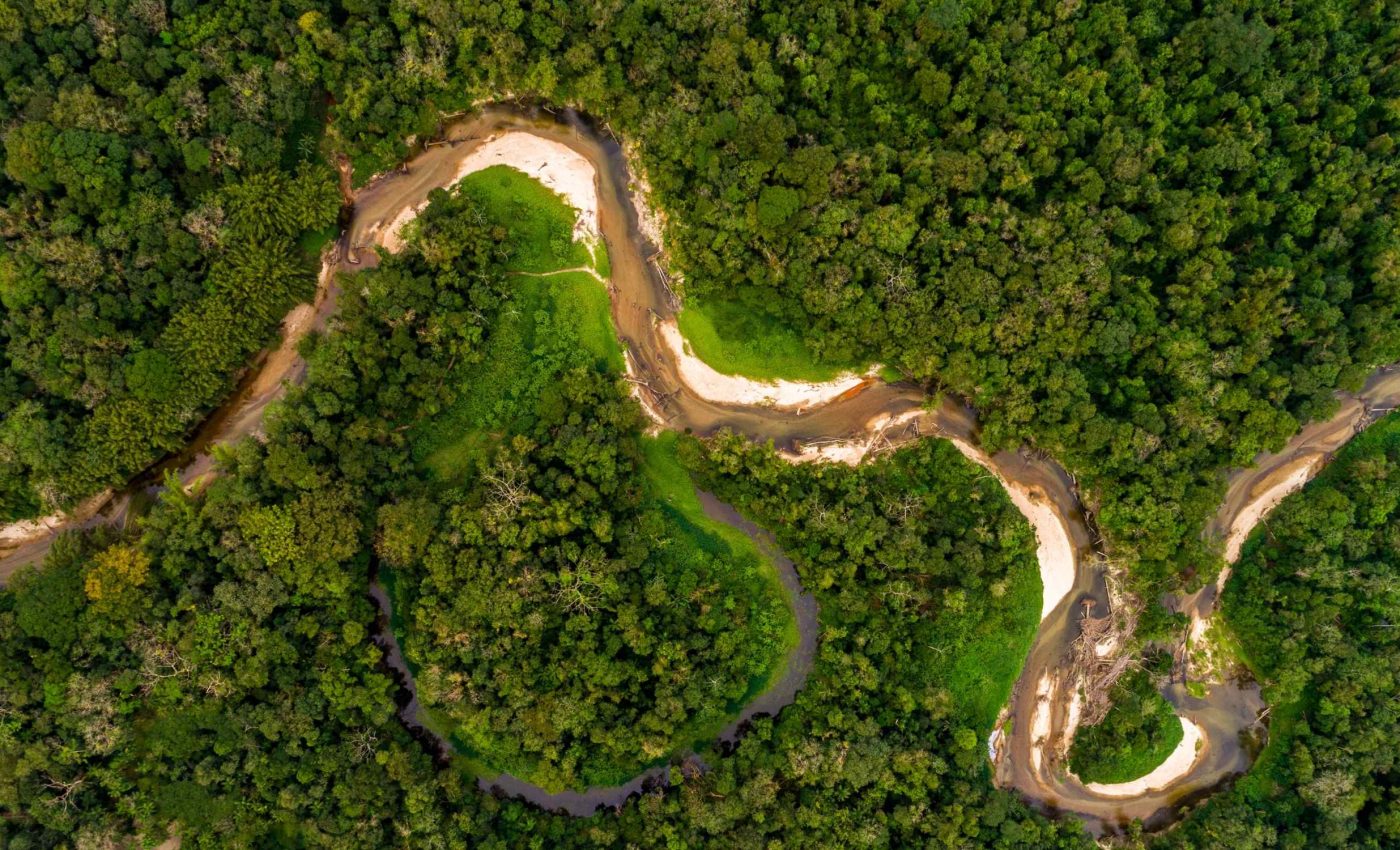 Amazonian flies may be carriers of a new bacterium linked to Andean fever