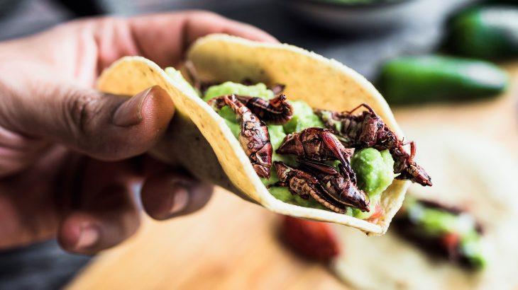 Why grasshoppers never left the menu in Mexico