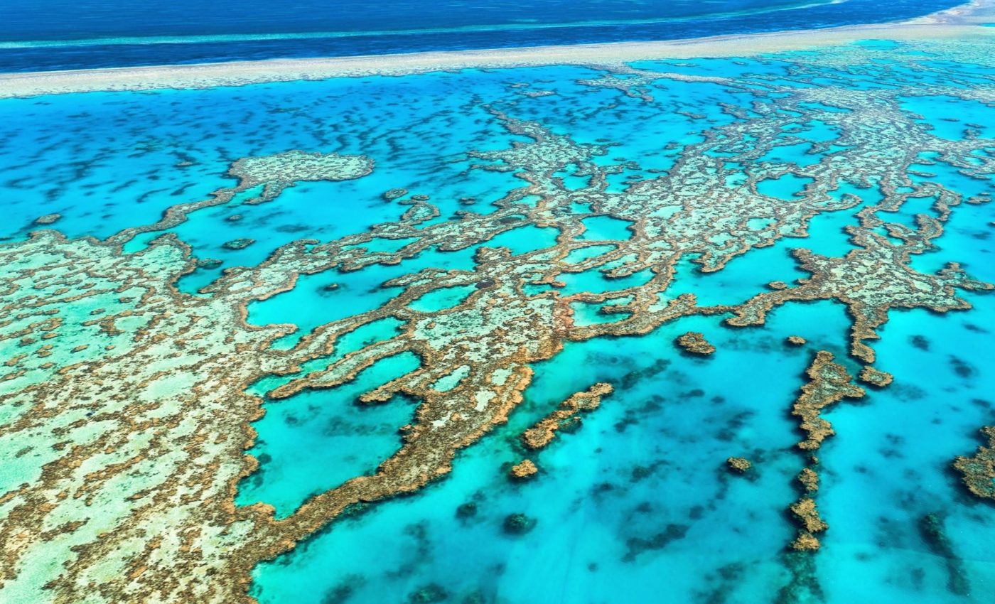 Coral reefs have become Earth's first ecosystems to pass the "planetary tipping point"