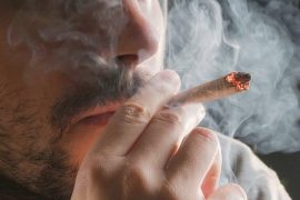 2025/10/Cannabis-genes.jpg