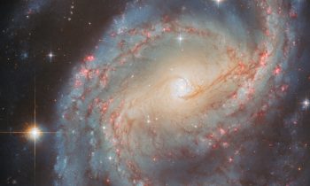 2025/10/Starburst-ring.jpg
