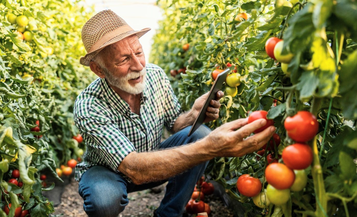 Changing the food we eat could heal both people and the climate
