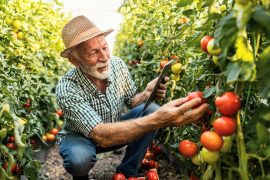 2025/10/Food-climate2.jpg