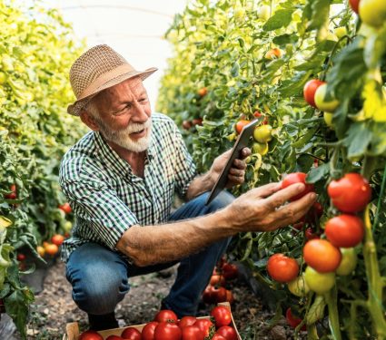 2025/10/Food-climate2.jpg