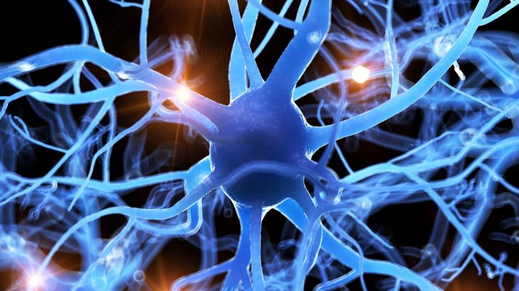Anxiety lights up the brain and scientists can now see it happening in real-time