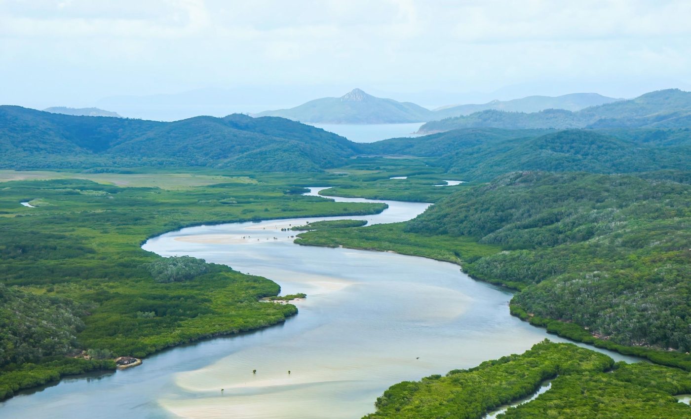 Why Australia’s rainforests just stopped absorbing carbon