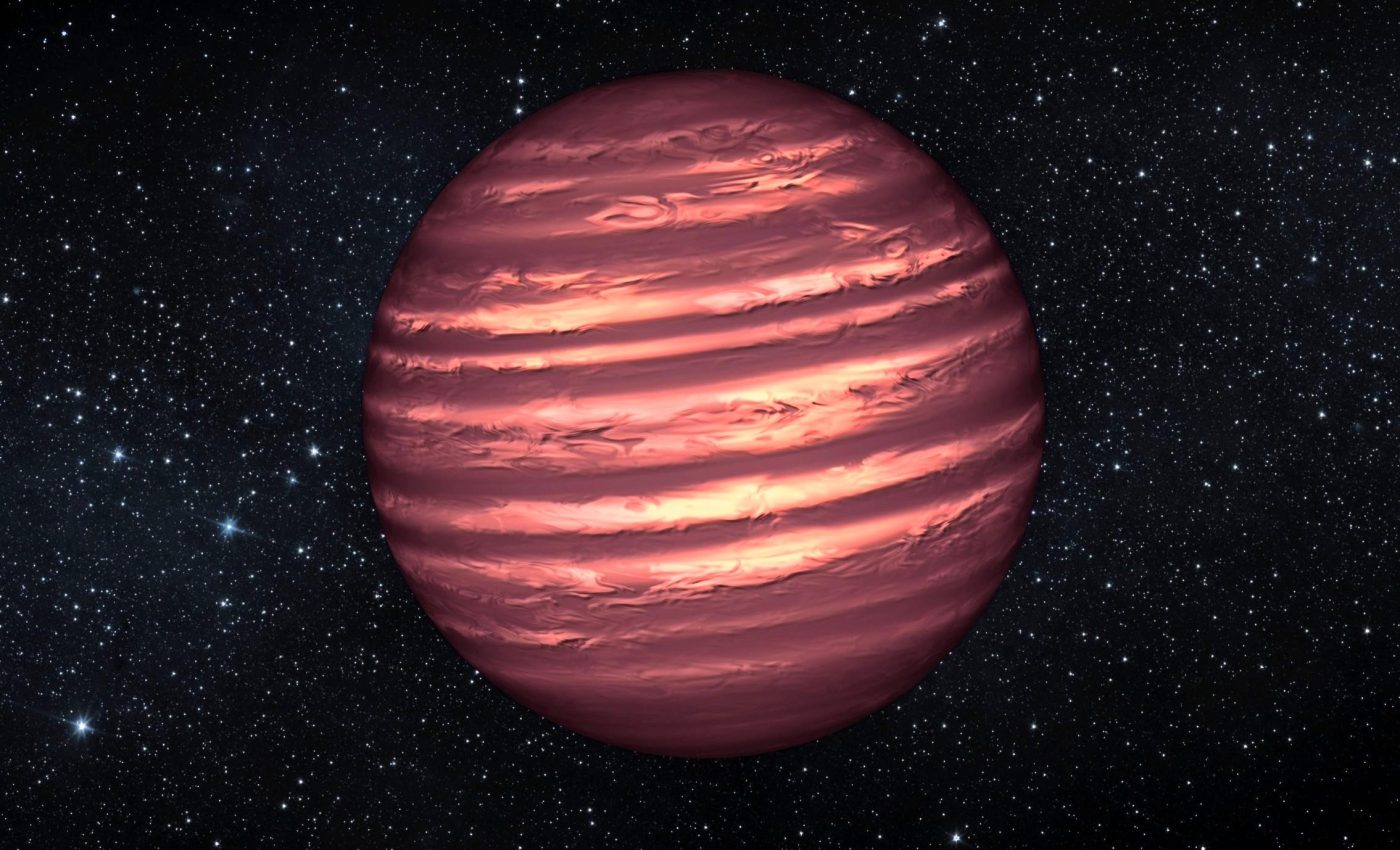 How warm Jupiters broke the rules of planet formation