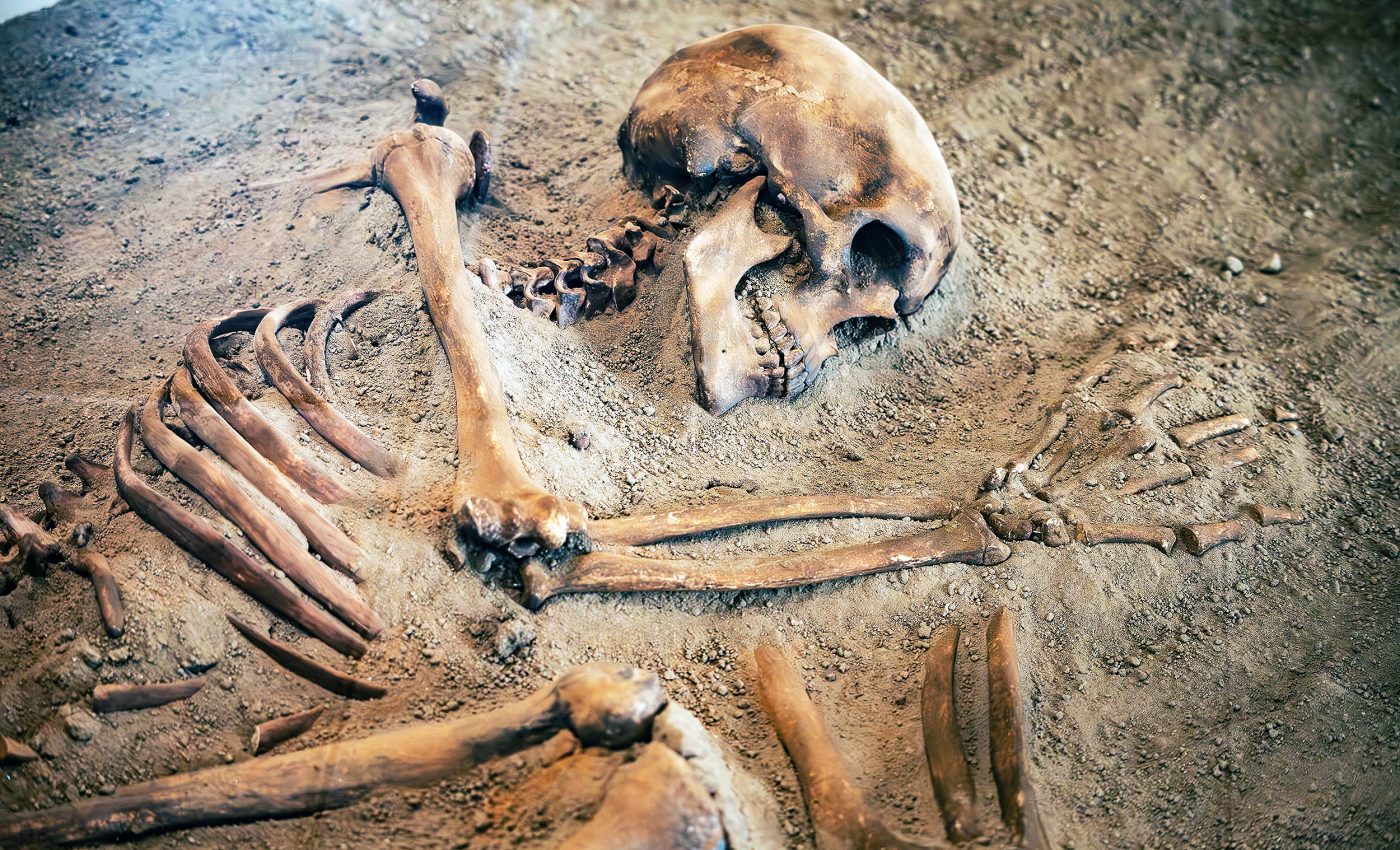 Scientists are developing a 'pregnancy test' for skeletons