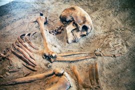 Exploration,Of,Primitive,Fossil,Skeletons,And,Bones,At,The,Archaeological