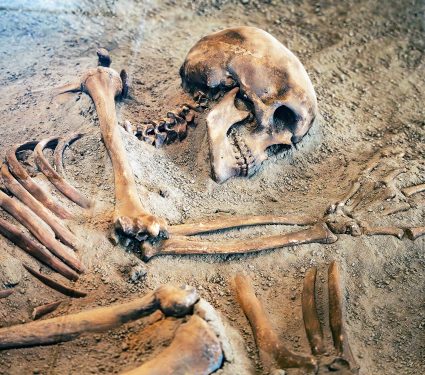 Exploration,Of,Primitive,Fossil,Skeletons,And,Bones,At,The,Archaeological