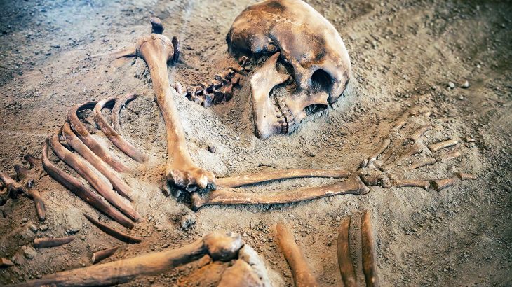 Scientists are developing a 'pregnancy test' for skeletons