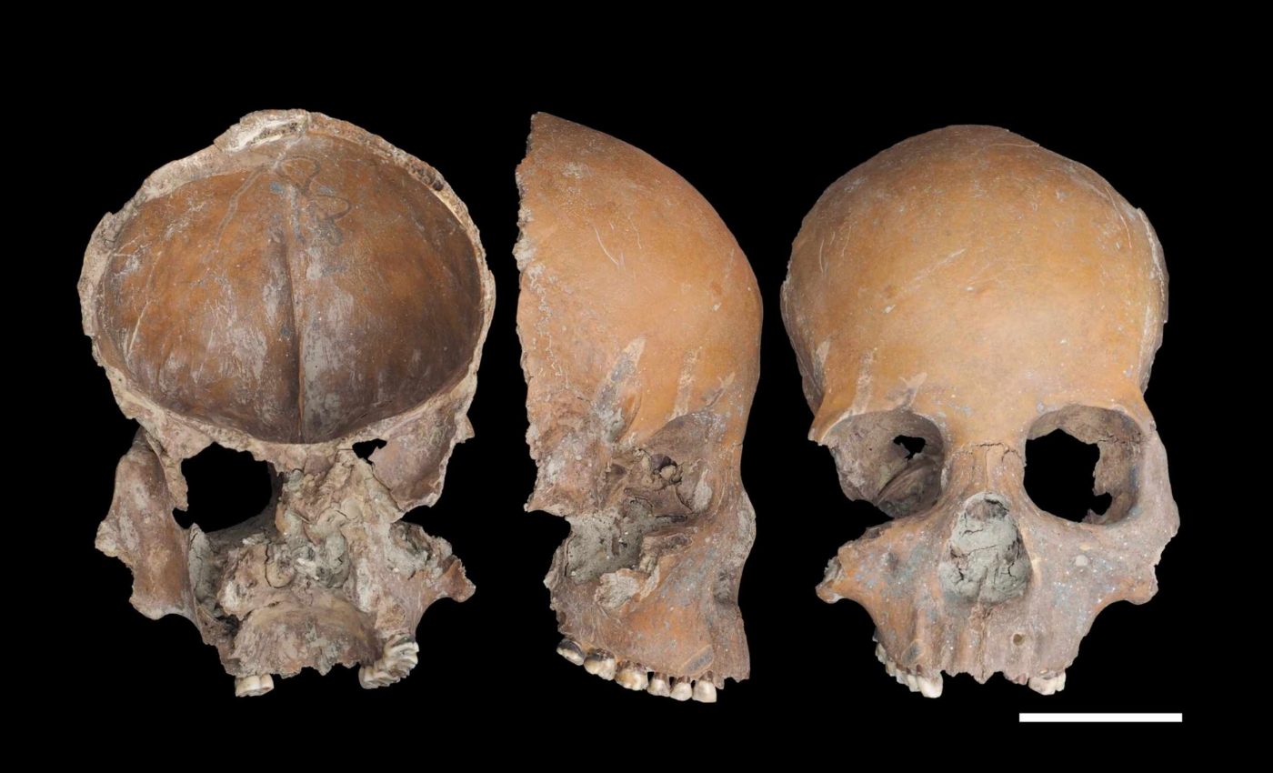 Archaeologists find 5,000-year-old human skulls used as food bowls, jawbones carved into spoons