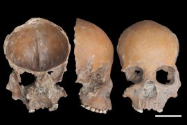 2025/10/ancient-human-skulls-jawbones.jpg