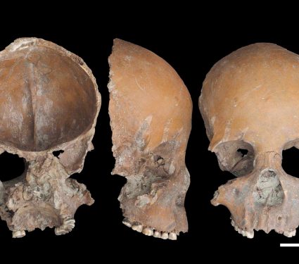 2025/10/ancient-human-skulls-jawbones.jpg