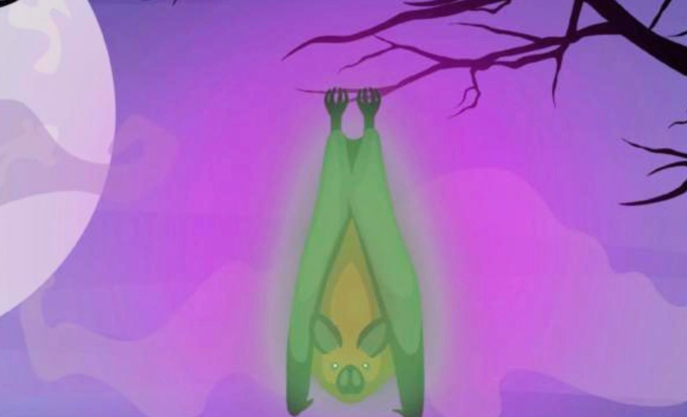Bats found to glow bright green in ultraviolet light
