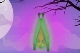 2025/10/Bats-glow.jpg