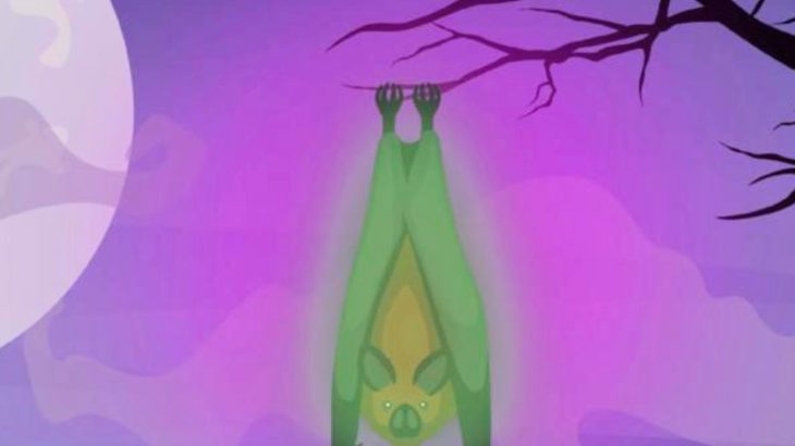 Bats found to glow bright green in ultraviolet light
