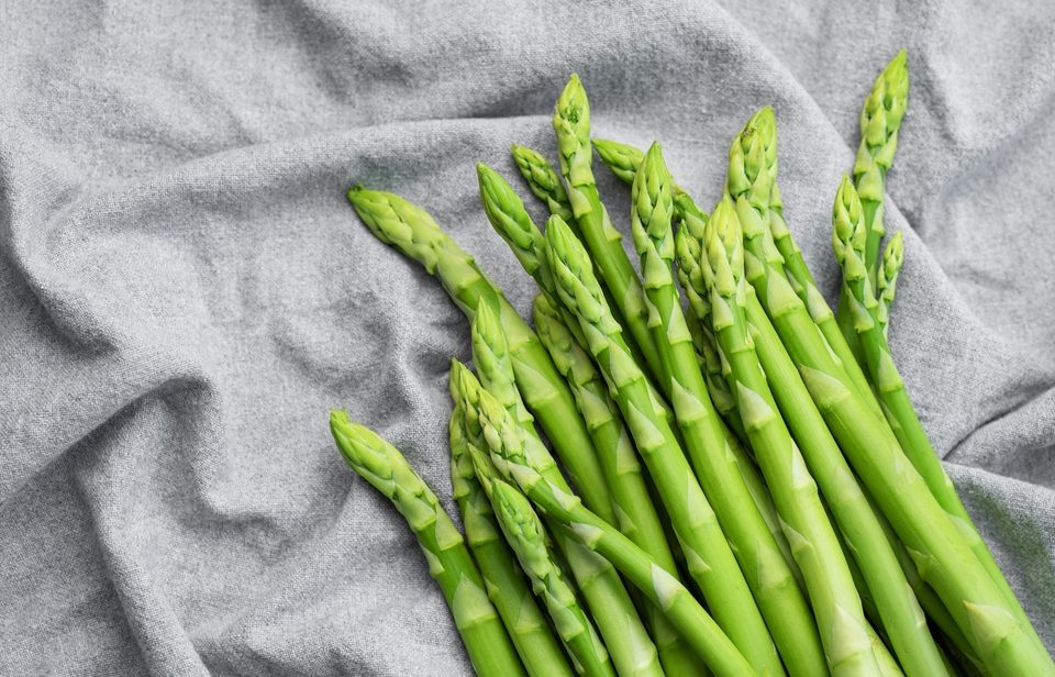 Asparagus and orchids share surprising cellular similarities