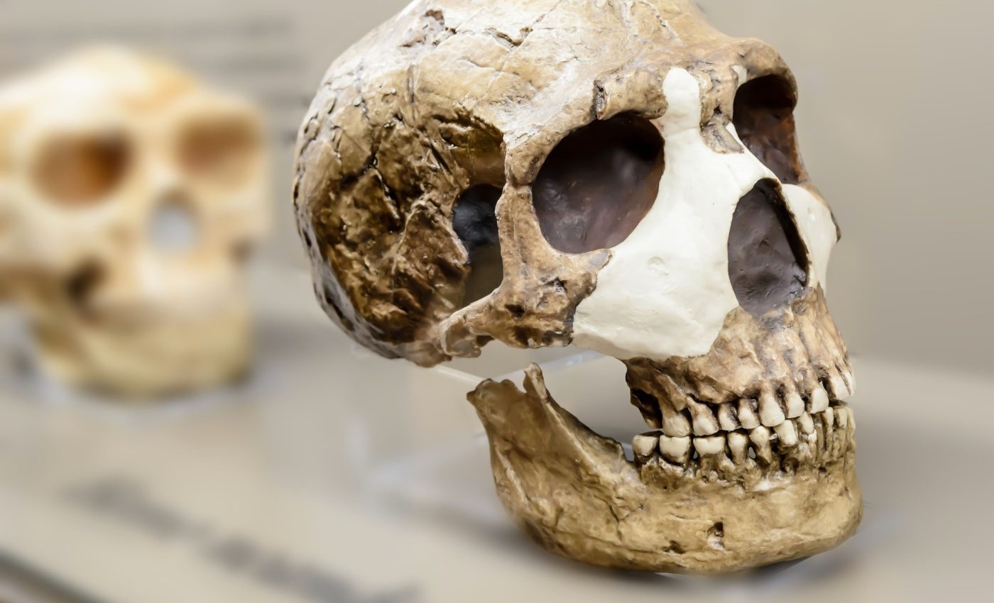 One tiny gene change may have ended the Neanderthals