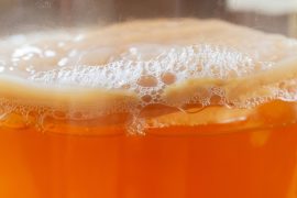 Kombucha brewing improved by scientists