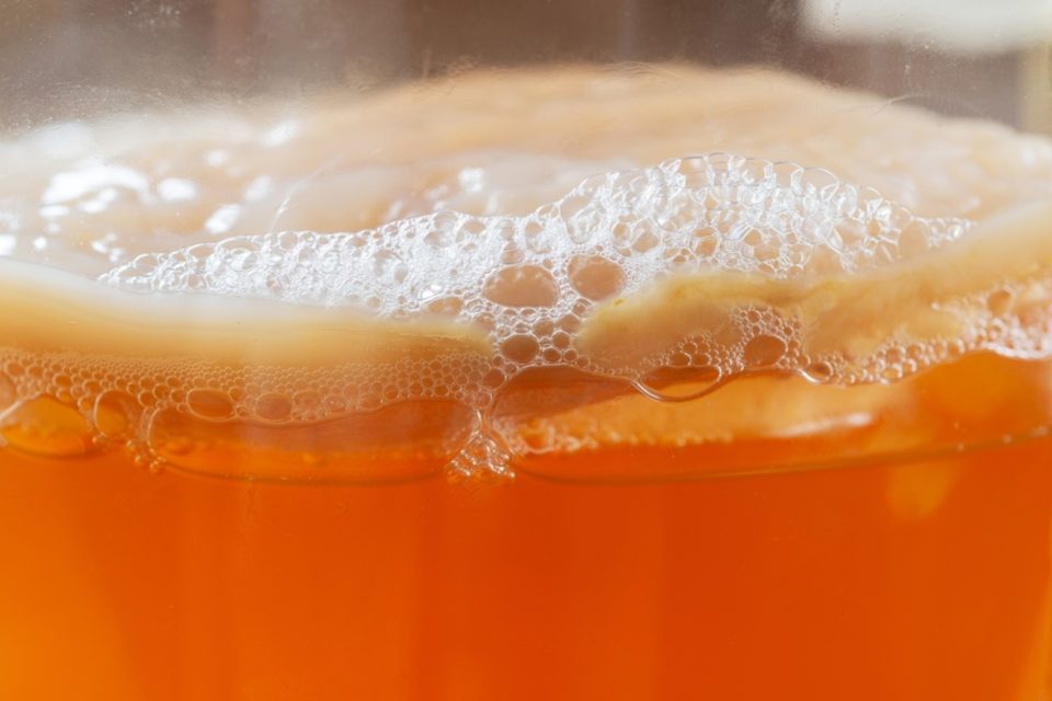 Kombucha brewing improved by scientists