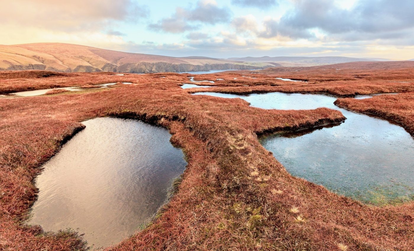 Why peatlands may start leaking massive amounts of carbon
