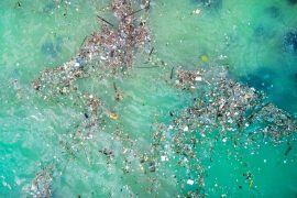 2025/10/Ocean-plastic.jpg
