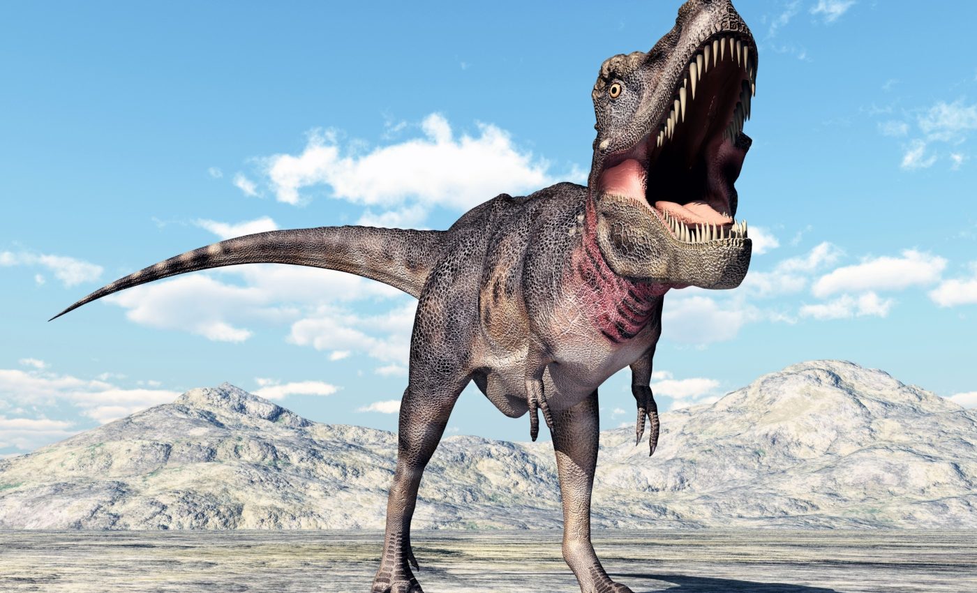 Final days of dinosaurs: What life was like before extinction