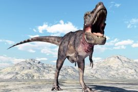 2025/10/Dinosaur-extinction.jpg
