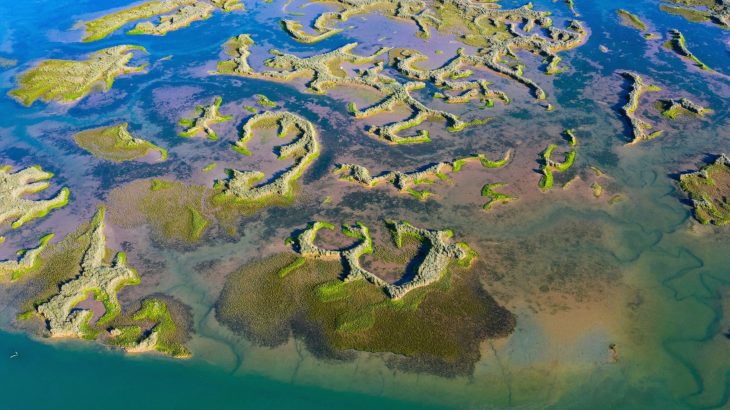 Rivers carry hidden carbon that shapes Earth’s climate