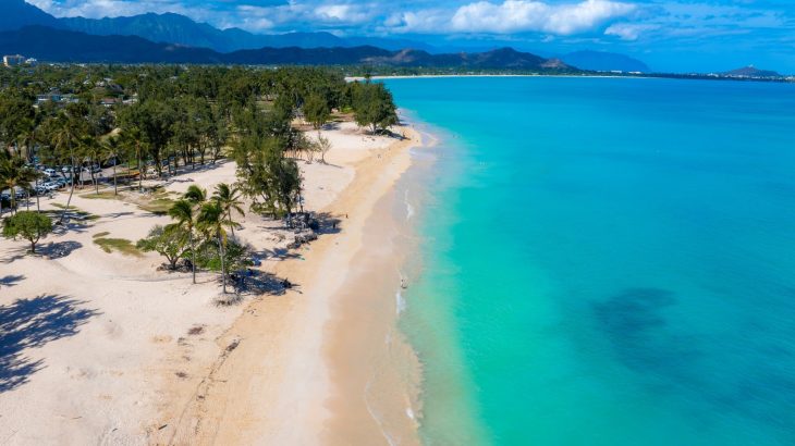 Unexpected discovery reveals how microbes travel from land to sea