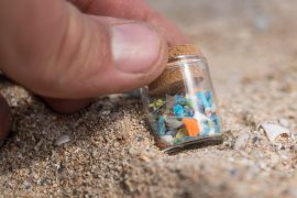 2025/10/Plastic-ocean-.jpg