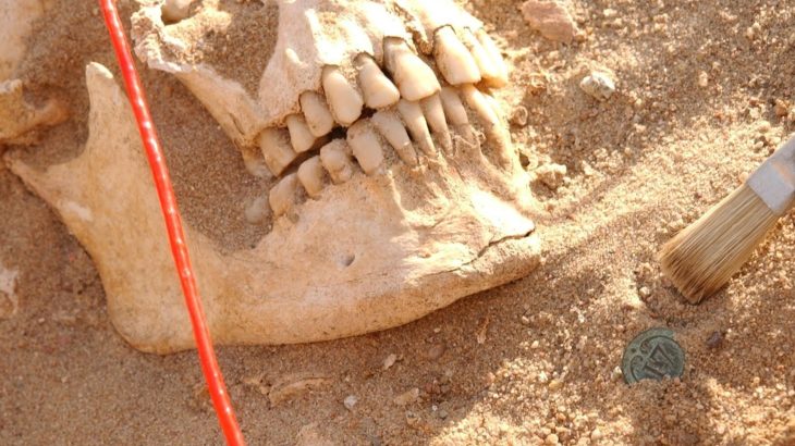 Ancient DNA reveals what really killed Napoleon's army