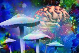 2025/10/psychedelics_alter-time-perception_1m.jpg