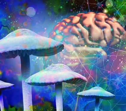 2025/10/psychedelics_alter-time-perception_1m.jpg