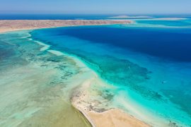 2025/10/Red-Sea-microbes.jpg